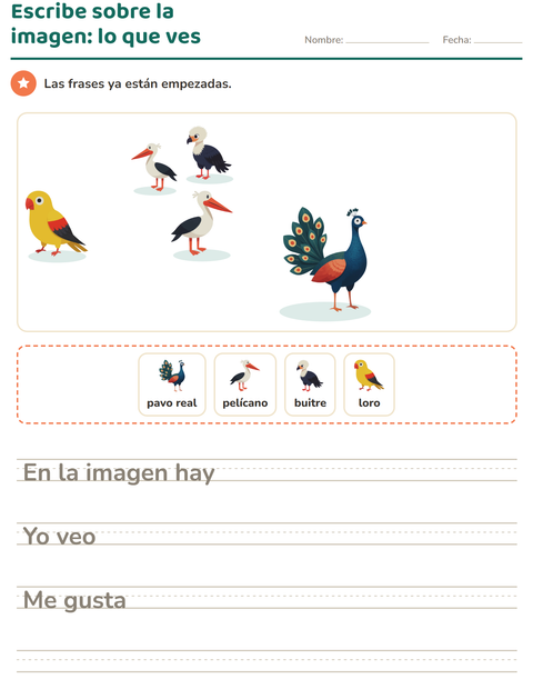 Vista previa de la hoja de Escribir sobre la imagen con Aves para grado 2