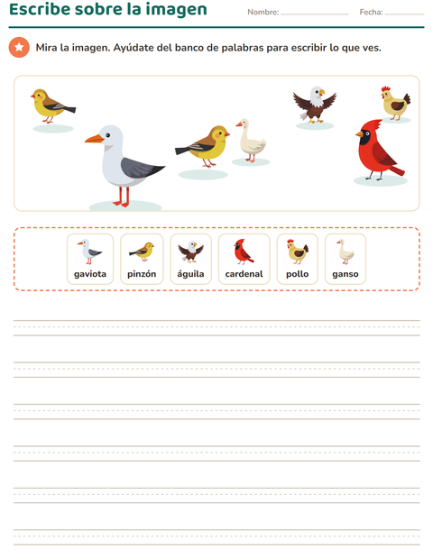 Vista previa de la hoja de Escribir sobre la imagen con Aves 2 para grado 2
