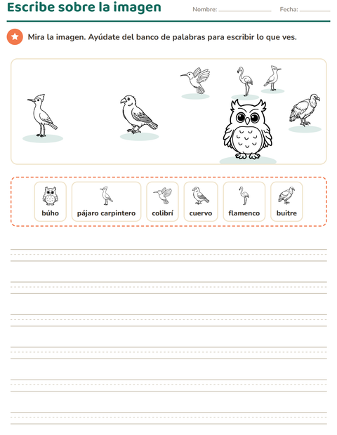 Vista previa de la hoja de Escribir sobre la imagen con Aves ByN para grado 2