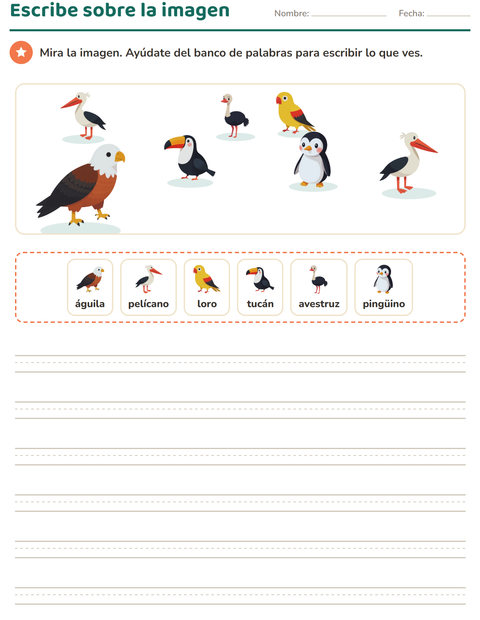 Vista previa de la hoja de Escribir sobre la imagen con Aves para grado 2