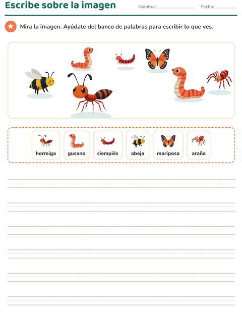 Vista previa de la hoja de Escribir sobre la imagen con Insectos y bichos para grado 2