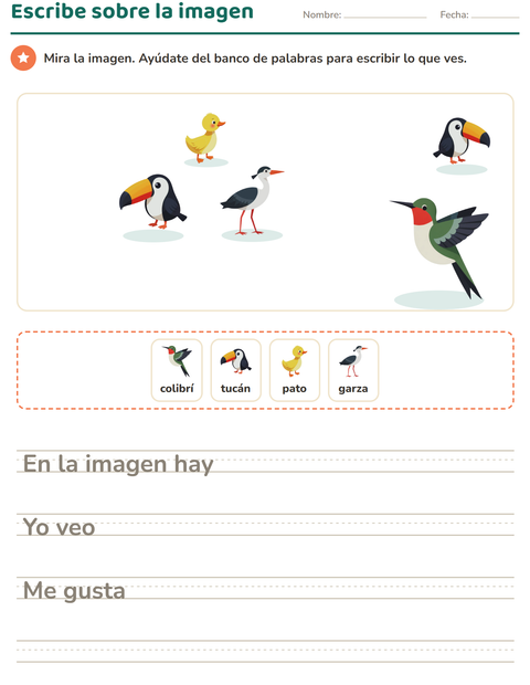 Vista previa de la hoja de Escribir sobre la imagen con Aves 2 para grado 2