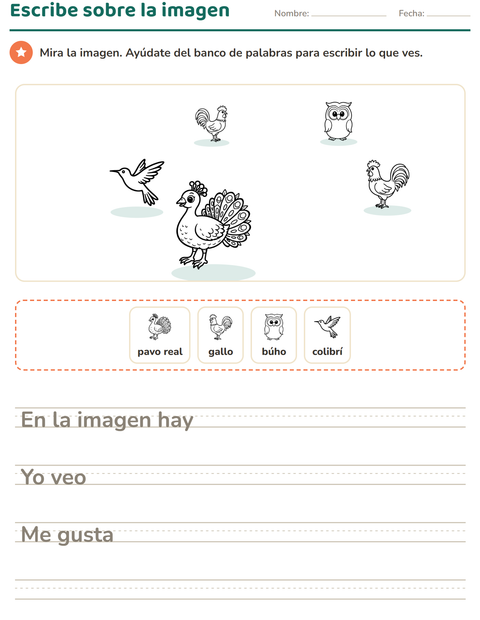 Vista previa de la hoja de Escribir sobre la imagen con Aves ByN 2 para grado 2