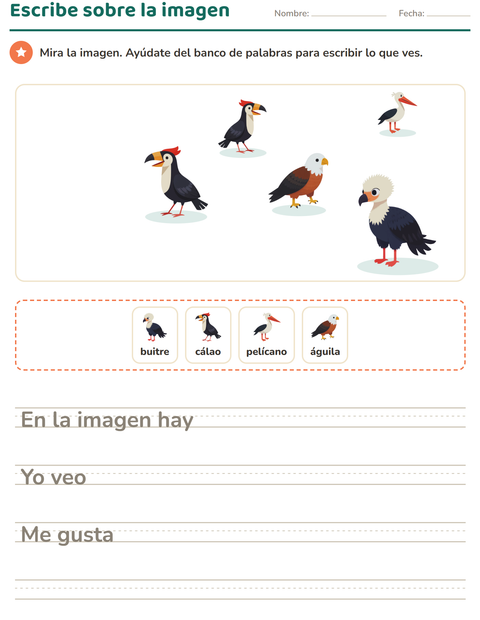 Vista previa de la hoja de Escribir sobre la imagen con Aves para grado 2