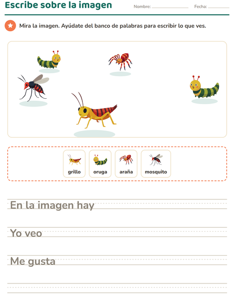 Vista previa de la hoja de Escribir sobre la imagen con Insectos y bichos para grado 2