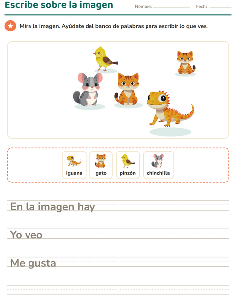 Vista previa de la hoja de Escribir sobre la imagen con Mascotas para grado 2