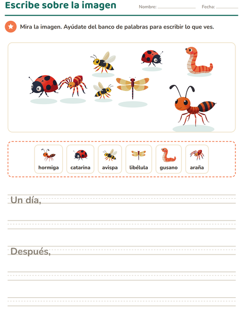 Vista previa de la hoja de Escribir sobre la imagen con Insectos y bichos para grado 2