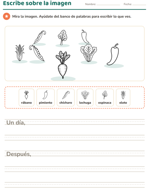Vista previa de la hoja de Escribir sobre la imagen con Verduras BN 2 para grado 2