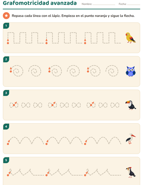 Vista previa de la hoja de Grafomotricidad con Aves para jardín infantil