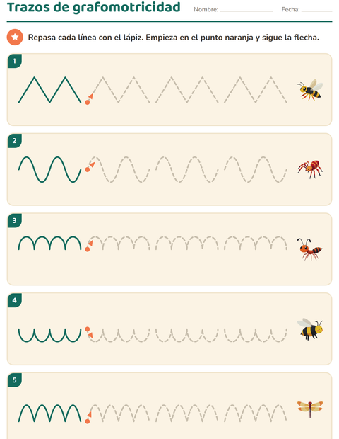 Vista previa de la hoja de Grafomotricidad con Insectos y bichos para jardín infantil