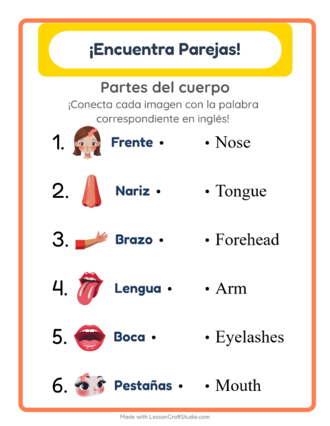 Une imágenes y palabras en inglés – Partes Del Cuerpo