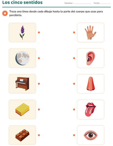Los cinco sentidos: une cada dibujo con la parte del cuerpo — preescolar
