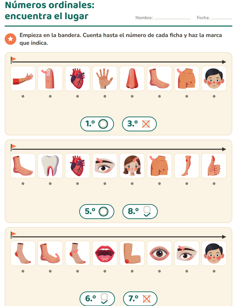 numeros-ordinales-dificil-partes-del-cuerpo-k320-111