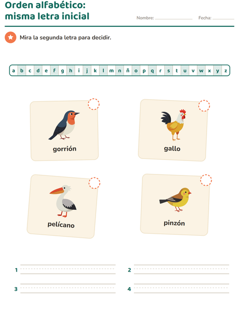 Vista previa de la hoja de Orden alfabético con Aves 2 para grado 1
