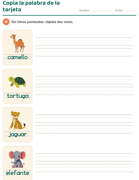 Vista previa de Copia la palabra de la tarjeta: dos renglones vacíos y ningún punteado — preescolar