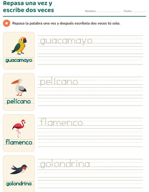 Vista previa de la hoja de Palabras punteadas con Aves 2 para jardín infantil