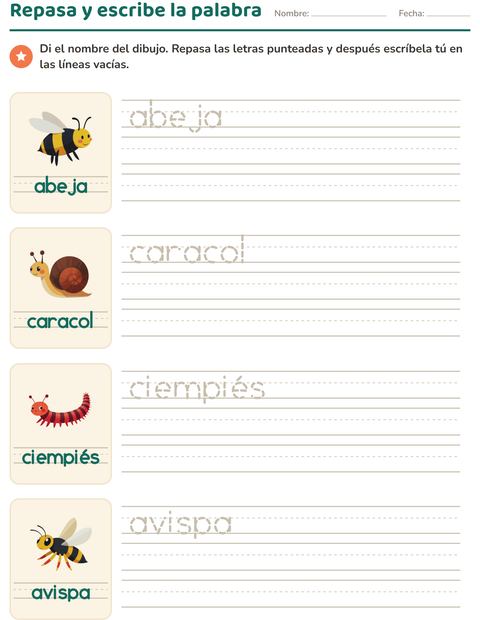 Vista previa de la hoja de Palabras punteadas con Insectos y bichos para jardín infantil