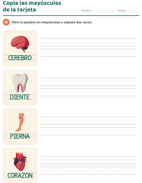 Vista previa de la hoja de Palabras punteadas con Partes del cuerpo para jardín infantil