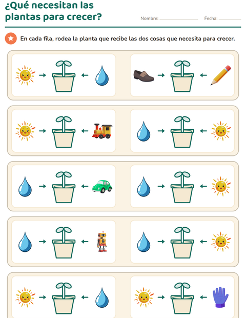 partes-de-la-planta-k376