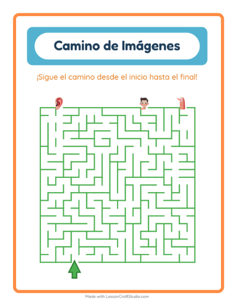 Vista previa de la hoja de Sendero De Imágenes con Partes del cuerpo para jardín infantil