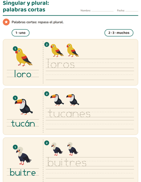 Vista previa de la hoja de Singular y plural con Aves para jardín infantil