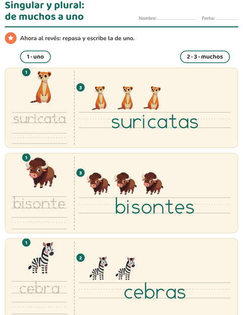 Singular y plural: de muchos a uno — Animales del zoológico