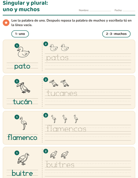 Vista previa de la hoja de Singular y plural con Aves ByN para jardín infantil