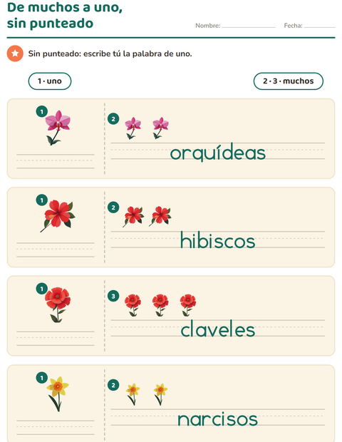 Vista previa de la hoja de Singular y plural con Flores para jardín infantil