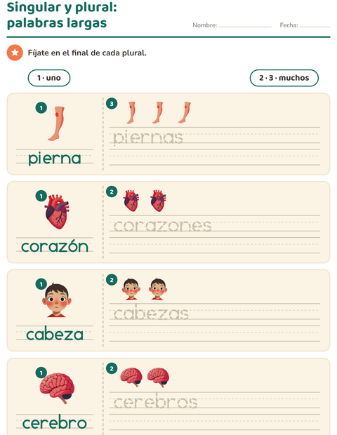 Vista previa de la hoja de Singular y plural con Partes del cuerpo para jardín infantil