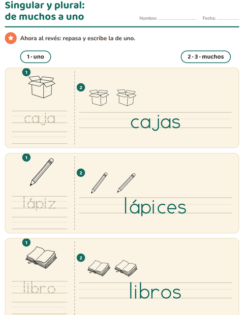 Vista previa de la hoja de Singular y plural con Educación BN para jardín infantil