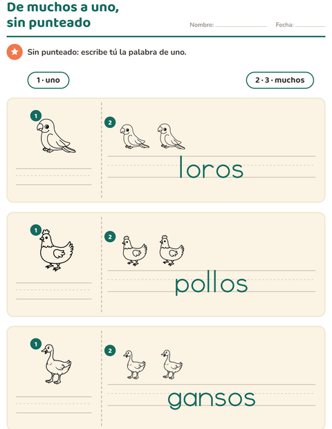Vista previa de la hoja de Singular y plural con Aves ByN 2 para jardín infantil