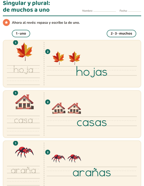 Vista previa de la hoja de Singular y plural con Misceláneo para jardín infantil
