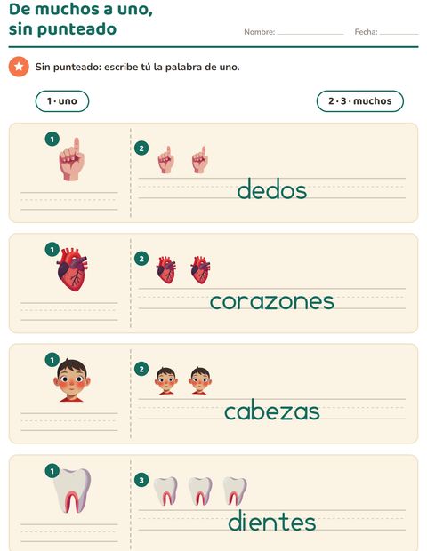 Vista previa de la hoja de Singular y plural con Partes del cuerpo para jardín infantil