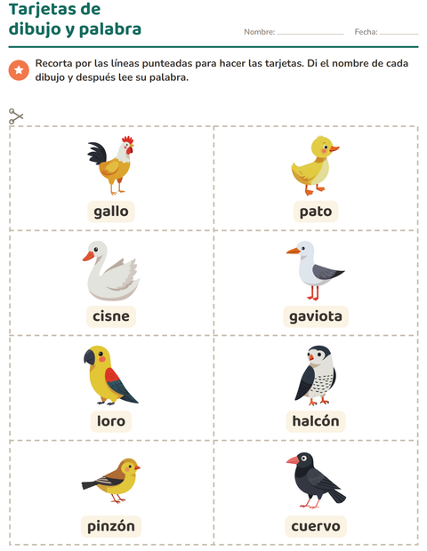 Vista previa de la hoja de Tarjetas de dibujo y palabra con Aves 2 para jardín infantil