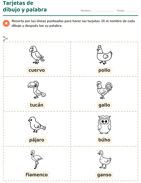 Vista previa de la hoja de Tarjetas de dibujo y palabra con Aves ByN 2 para jardín infantil