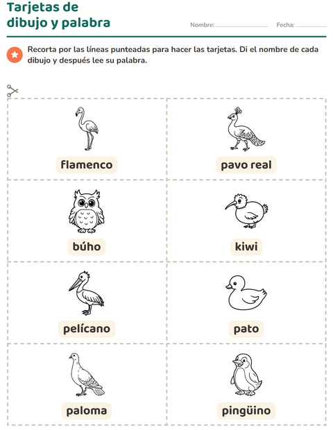 Vista previa de la hoja de Tarjetas de dibujo y palabra con Aves ByN para jardín infantil
