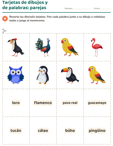 Vista previa de la hoja de Tarjetas de dibujo y palabra con Aves para jardín infantil