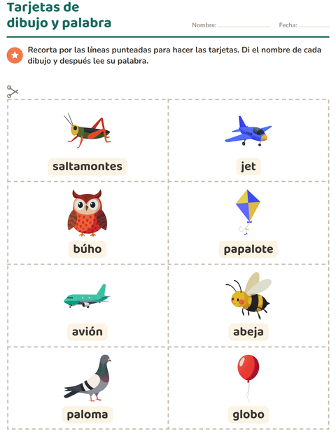 Vista previa de la hoja de Tarjetas de dibujo y palabra con Cosas que vuelan para jardín infantil