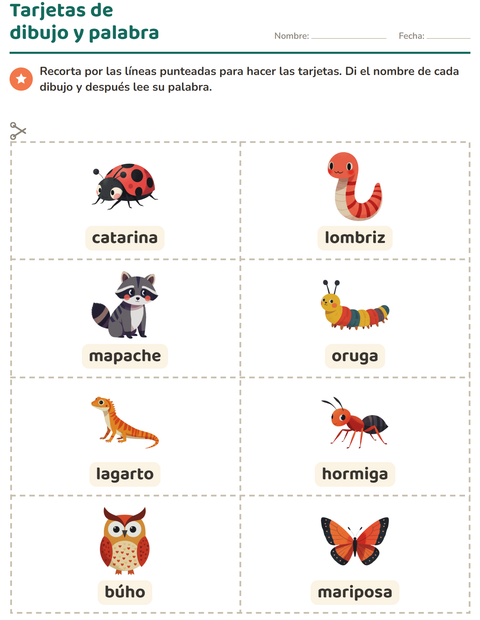 Vista previa de la hoja de Tarjetas de dibujo y palabra con Criaturas del bosque para jardín infantil