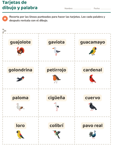 Vista previa de la hoja de Tarjetas de dibujo y palabra con Aves 2 para jardín infantil