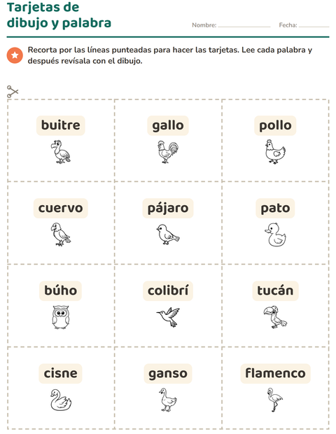 Vista previa de la hoja de Tarjetas de dibujo y palabra con Aves ByN 2 para jardín infantil
