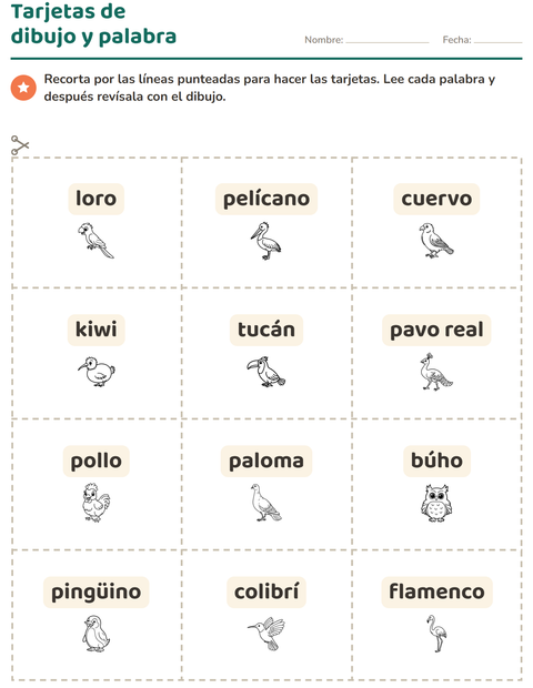 Vista previa de la hoja de Tarjetas de dibujo y palabra con Aves ByN para jardín infantil