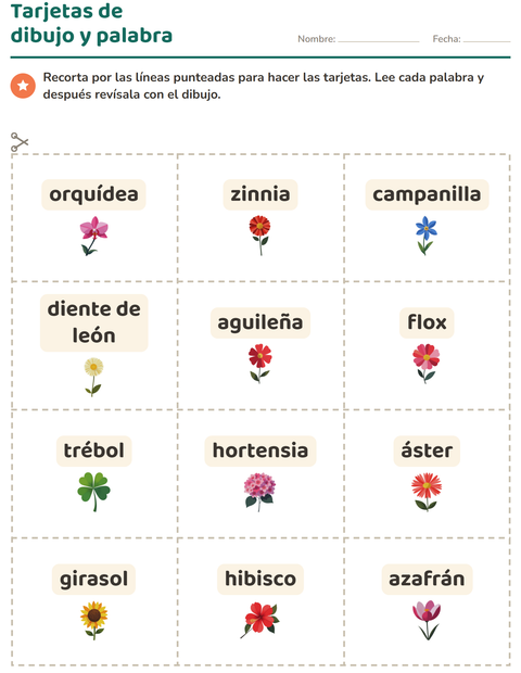 Vista previa de la hoja de Tarjetas de dibujo y palabra con Flores para jardín infantil