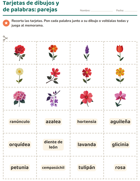 Vista previa de la hoja de Tarjetas de dibujo y palabra con Flores para jardín infantil