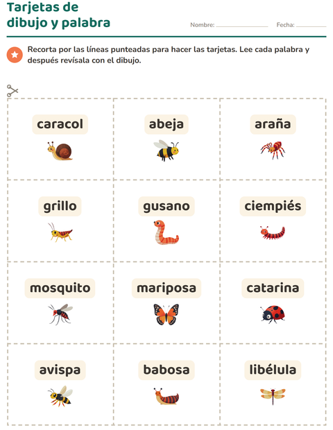 Vista previa de la hoja de Tarjetas de dibujo y palabra con Insectos y bichos para jardín infantil