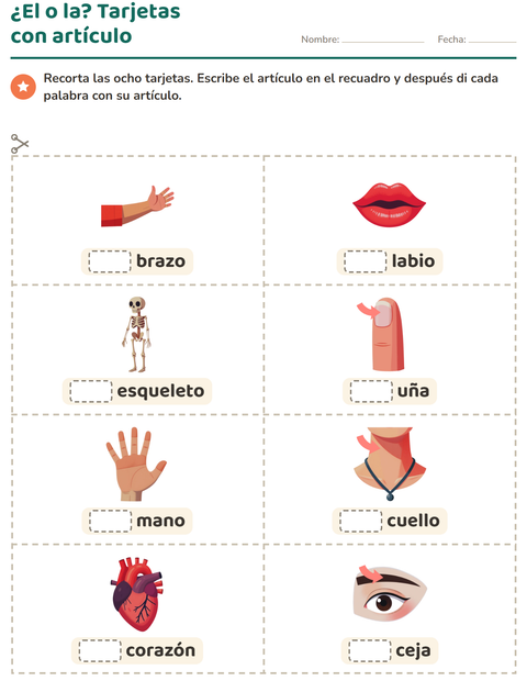 Vista previa de la hoja de Tarjetas de dibujo y palabra con Partes del cuerpo para jardín infantil