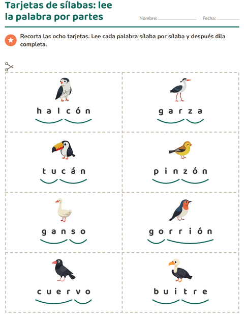 Vista previa de la hoja de Tarjetas de dibujo y palabra con Aves 2 para grado 1