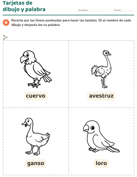 Vista previa de la hoja de Tarjetas de dibujo y palabra con Aves ByN 2 para jardín infantil