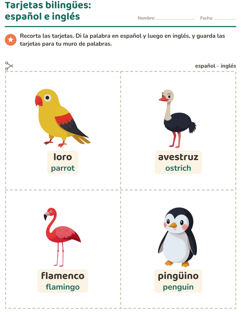 Vista previa de la hoja de Tarjetas de dibujo y palabra con Aves para jardín infantil