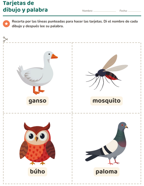 Vista previa de la hoja de Tarjetas de dibujo y palabra con Cosas que vuelan para jardín infantil